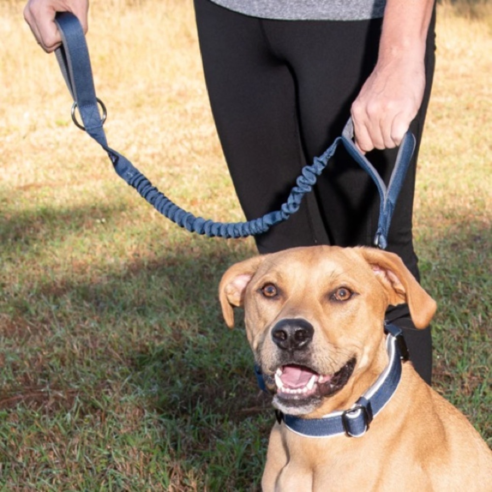 SALE!! Military tactical dog bungee training leash and seat belt buckle.